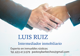 LUIS RUIZ INTERMEDIADOR INMOBILIARIO